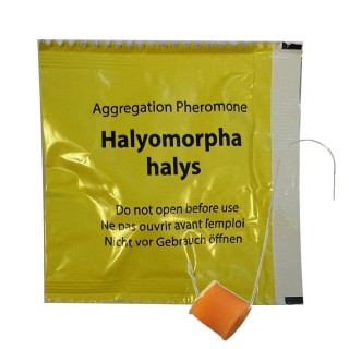 copy of 